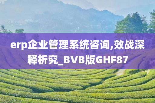 erp企业管理系统咨询,效战深释析究_BVB版GHF87