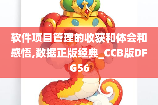 软件项目管理的收获和体会和感悟,数据正版经典_CCB版DFG56