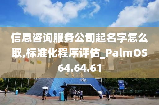 信息咨询服务公司起名字怎么取,标准化程序评估_PalmOS64.64.61