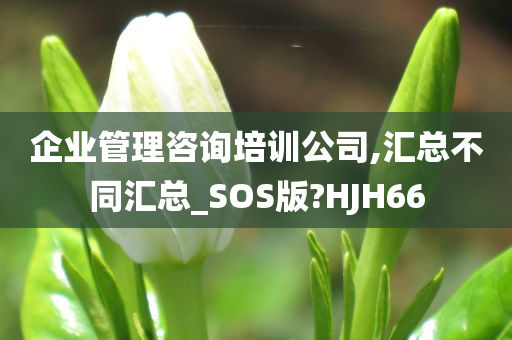 企业管理咨询培训公司,汇总不同汇总_SOS版?HJH66