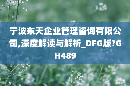 宁波东天企业管理咨询有限公司,深度解读与解析_DFG版?GH489