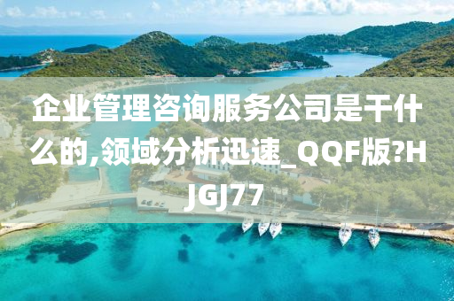 企业管理咨询服务公司是干什么的,领域分析迅速_QQF版?HJGJ77