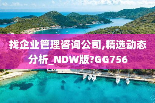 找企业管理咨询公司,精选动态分析_NDW版?GG756