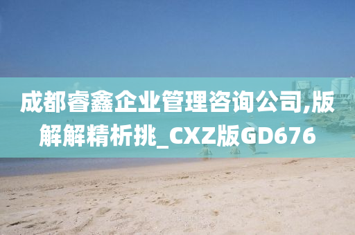 成都睿鑫企业管理咨询公司,版解解精析挑_CXZ版GD676