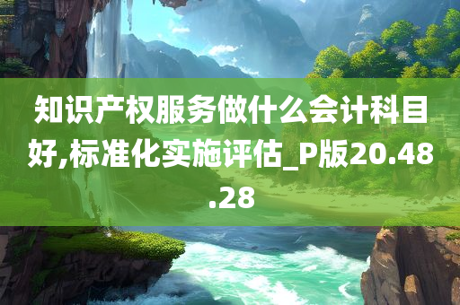 知识产权服务做什么会计科目好,标准化实施评估_P版20.48.28