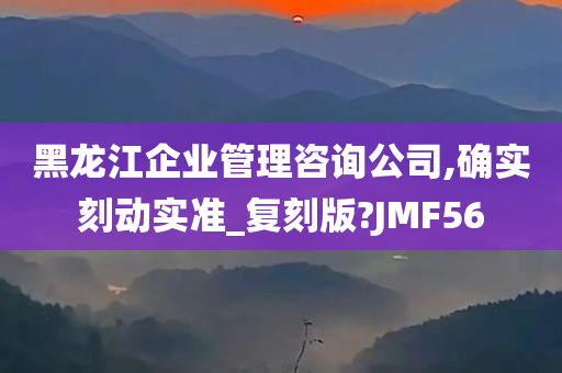 黑龙江企业管理咨询公司,确实刻动实准_复刻版?JMF56