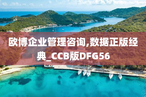 欧博企业管理咨询,数据正版经典_CCB版DFG56