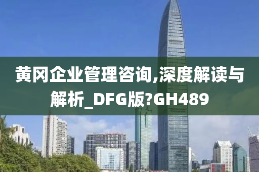 黄冈企业管理咨询,深度解读与解析_DFG版?GH489