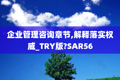 企业管理咨询章节,解释落实权威_TRY版?SAR56