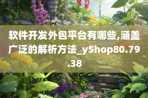 软件开发外包平台有哪些,涵盖广泛的解析方法_yShop80.79.38