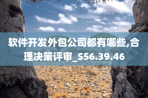 软件开发外包公司都有哪些,合理决策评审_S56.39.46