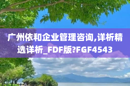 广州依和企业管理咨询,详析精选详析_FDF版?FGF4543