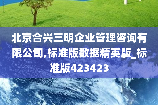 北京合兴三明企业管理咨询有限公司,标准版数据精英版_标准版423423