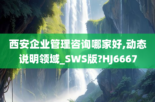 西安企业管理咨询哪家好,动态说明领域_SWS版?HJ6667