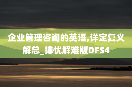 企业管理咨询的英语,详定复义解总_排忧解难版DFS4