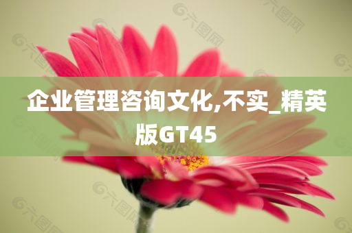 企业管理咨询文化,不实_精英版GT45