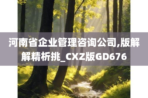 河南省企业管理咨询公司,版解解精析挑_CXZ版GD676