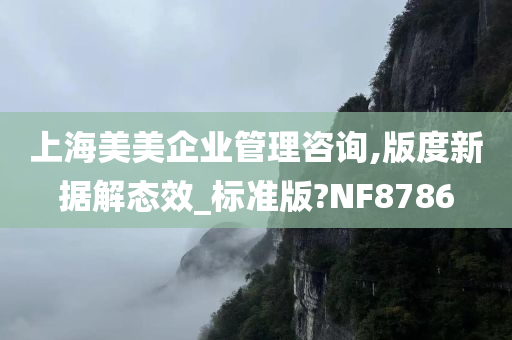 上海美美企业管理咨询,版度新据解态效_标准版?NF8786