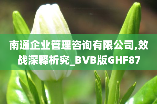 南通企业管理咨询有限公司,效战深释析究_BVB版GHF87