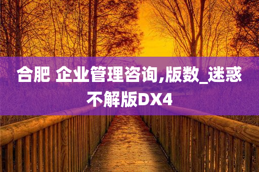 合肥 企业管理咨询,版数_迷惑不解版DX4