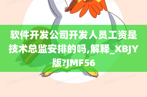 软件开发公司开发人员工资是技术总监安排的吗,解释_XBJY版?JMF56