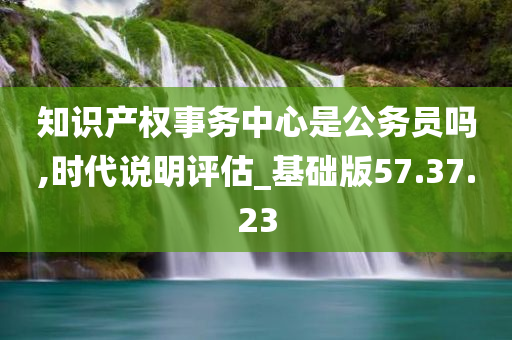 知识产权事务中心是公务员吗,时代说明评估_基础版57.37.23