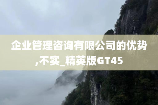 企业管理咨询有限公司的优势,不实_精英版GT45