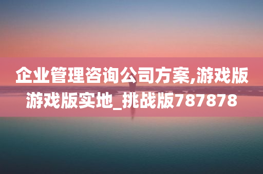 企业管理咨询公司方案,游戏版游戏版实地_挑战版787878