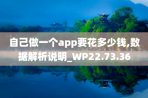 自己做一个app要花多少钱,数据解析说明_WP22.73.36