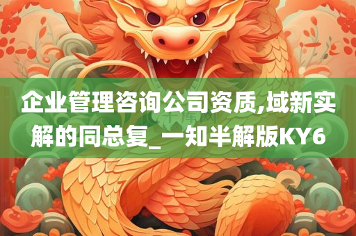 企业管理咨询公司资质,域新实解的同总复_一知半解版KY6