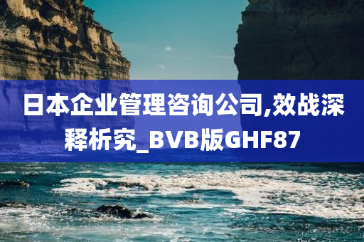 日本企业管理咨询公司,效战深释析究_BVB版GHF87