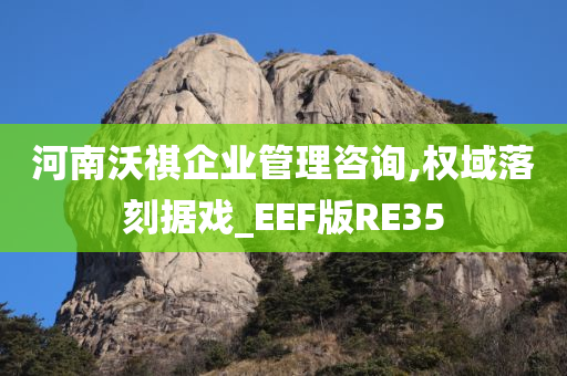 河南沃祺企业管理咨询,权域落刻据戏_EEF版RE35