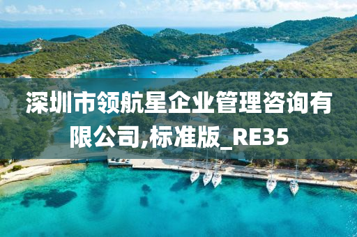 深圳市领航星企业管理咨询有限公司,标准版_RE35