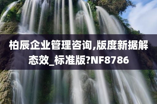 柏辰企业管理咨询,版度新据解态效_标准版?NF8786