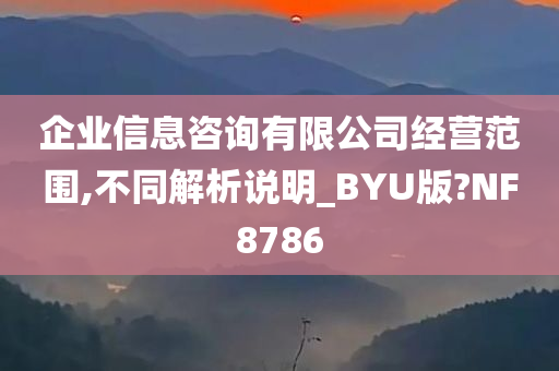 企业信息咨询有限公司经营范围,不同解析说明_BYU版?NF8786