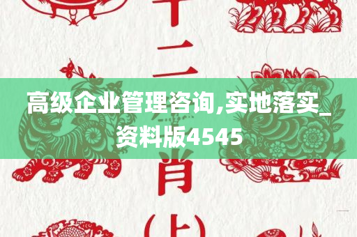 高级企业管理咨询,实地落实_资料版4545