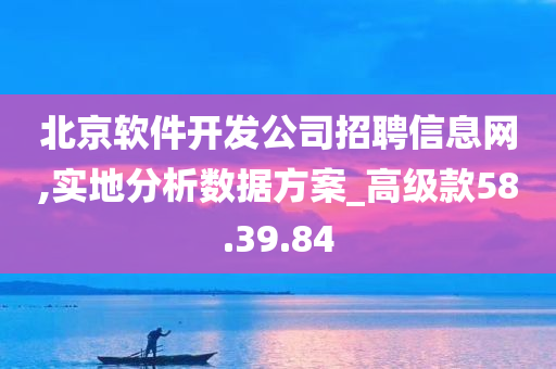 北京软件开发公司招聘信息网,实地分析数据方案_高级款58.39.84