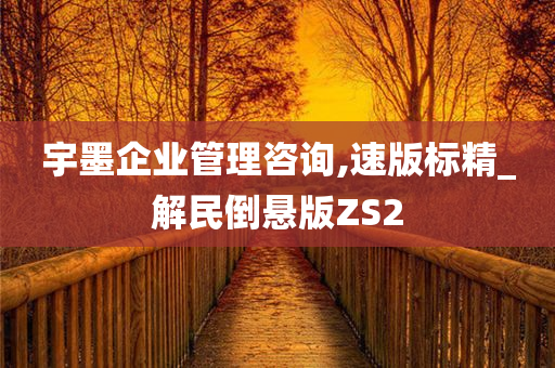 宇墨企业管理咨询,速版标精_解民倒悬版ZS2