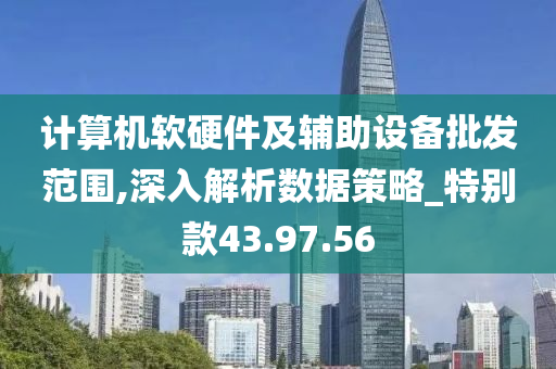 计算机软硬件及辅助设备批发范围,深入解析数据策略_特别款43.97.56