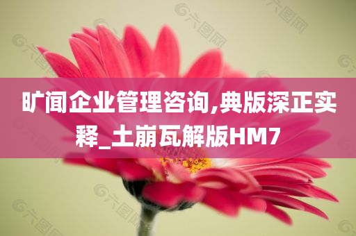 旷闻企业管理咨询,典版深正实释_土崩瓦解版HM7