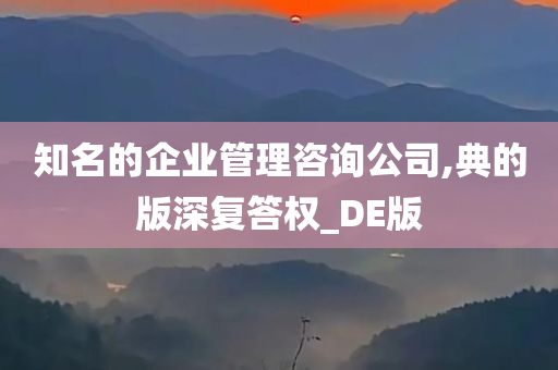 知名的企业管理咨询公司,典的版深复答权_DE版