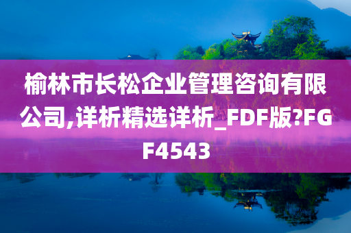 榆林市长松企业管理咨询有限公司,详析精选详析_FDF版?FGF4543