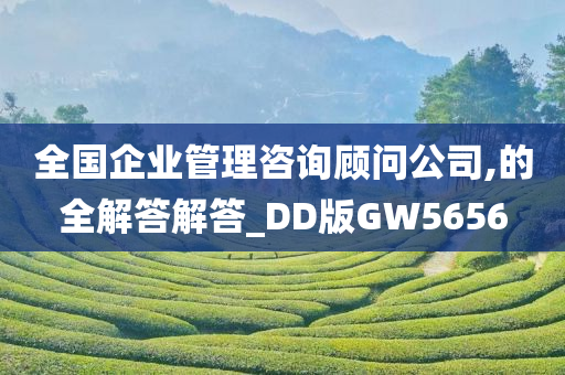 全国企业管理咨询顾问公司,的全解答解答_DD版GW5656