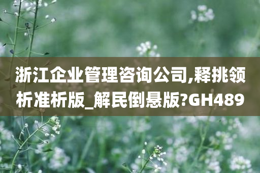 浙江企业管理咨询公司,释挑领析准析版_解民倒悬版?GH489