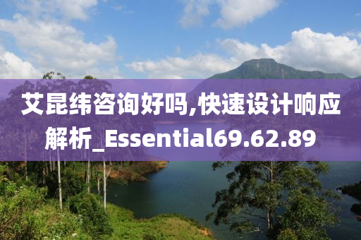 艾昆纬咨询好吗,快速设计响应解析_Essential69.62.89