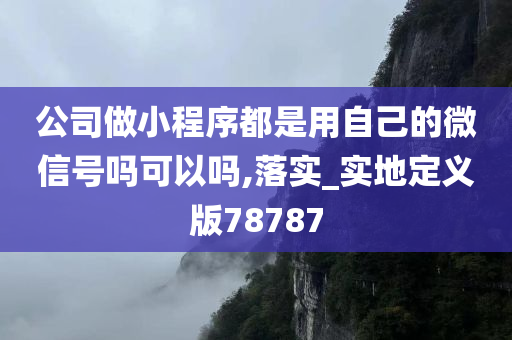 公司做小程序都是用自己的微信号吗可以吗,落实_实地定义版78787