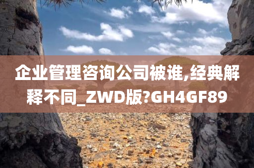 企业管理咨询公司被谁,经典解释不同_ZWD版?GH4GF89