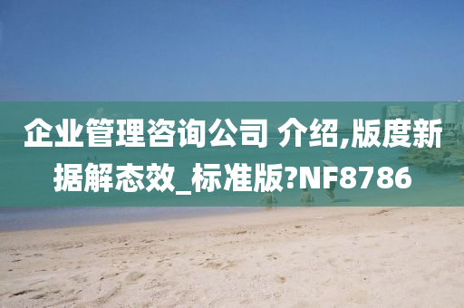 企业管理咨询公司 介绍,版度新据解态效_标准版?NF8786