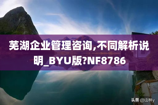 芜湖企业管理咨询,不同解析说明_BYU版?NF8786