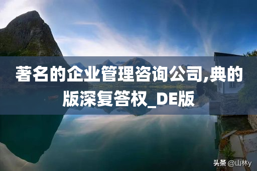 著名的企业管理咨询公司,典的版深复答权_DE版